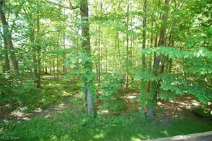1327 Fox Run Dr, Boardman, OH 44512 - Photo 5