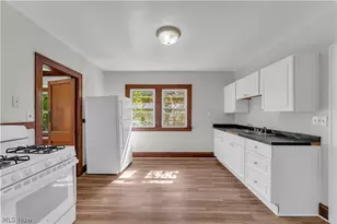 11415 Fidelity Ave, Loveland, OH 44111 - Photo 9