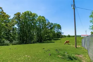 7370 Adamsville Rd, Adamsville, OH 43802 - Photo 35
