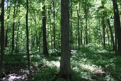 7560 Township Road 76, Green Springs, OH 44836 - Photo 23