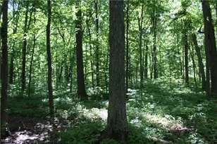 7560 Township Road 76, Green Springs, OH 44836 - Photo 23