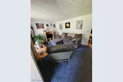 498 Walnut Street, Conneaut, OH 44030 - Photo 23