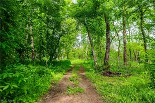 4686 Valley Rd, Wooster, OH 44691 - Photo 45