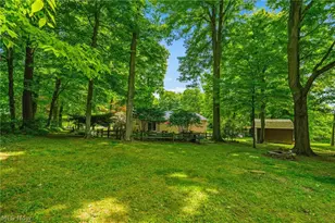 16415 Meadowville St SE, Minerva, OH 44657 - Photo 9