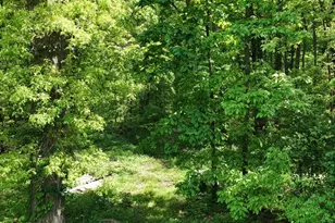 1235 Township Rd 353, Ashland, OH 44866 - Photo 15