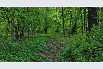 1235 Township Road 353, Ashland, OH 44866 - Photo 5