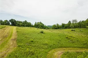6587 Barkley Rd, Uhrichsville, OH 44683 - Photo 41