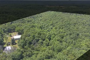 38967 State Route 39 Rd, Salineville, OH 43945 - Photo 3