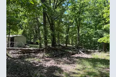 38967 State Route 39 Road, Salineville, OH 43945 - Photo 43