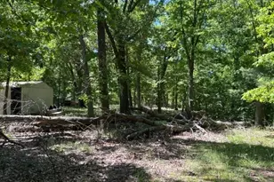 38967 State Route 39 Rd, Salineville, OH 43945 - Photo 43