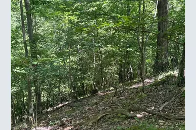 38967 State Route 39 Road, Salineville, OH 43945 - Photo 39