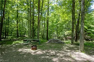 16135 Township Rd 211, Loudonville, OH 44842 - Photo 5