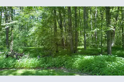9621 Wolfe Road, Windham, OH 44288 - Photo 35