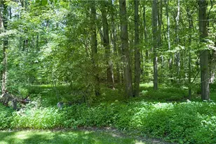 9621 Wolfe Rd, Windham, OH 44288 - Photo 35