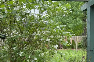 8912 Isabelle Ln, Macedonia, OH 44056 - Photo 7