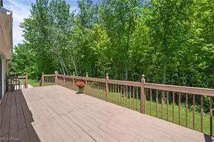 670 Tern Ct, Streetsboro, OH 44241 - Photo 29