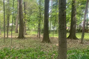 1340 N Lincoln Ave, Salem, OH 44460 - Photo 5