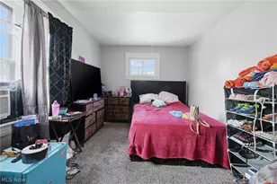13314 Argus Ave, Loveland, OH 44110 - Photo 13