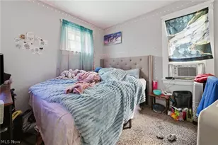 13314 Argus Ave, Loveland, OH 44110 - Photo 11
