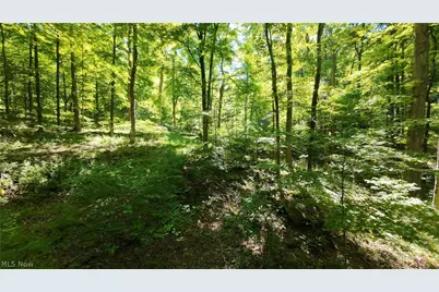 13171 Private Road 231, Big Prairie, OH 44611 - Photo 25
