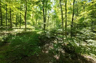 13171 Private Rd 231, Big Prairie, OH 44611 - Photo 25
