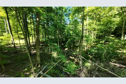 13171 Private Road 231, Big Prairie, OH 44611 - Photo 21