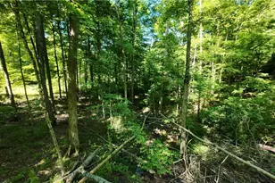 13171 Private Rd 231, Big Prairie, OH 44611 - Photo 21