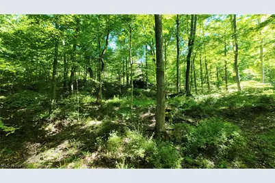 13171 Private Road 231, Big Prairie, OH 44611 - Photo 27