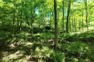 13171 Private Rd 231, Big Prairie, OH 44611 - Photo 27