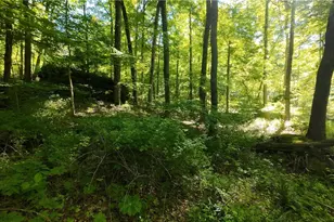 13171 Private Rd 231, Big Prairie, OH 44611 - Photo 19