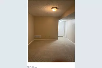 8316 Chester Parkway, Loveland, OH 44103 - Photo 11