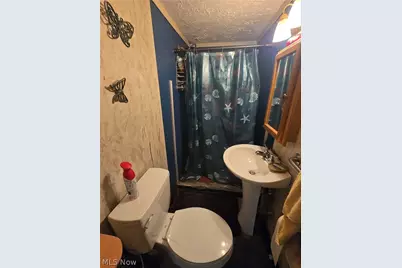 1427 Hawn Street, Youngstown, OH 44506 - Photo 9
