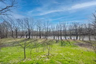 7688 State Route 257 N, Prospect, OH 43342 - Photo 41