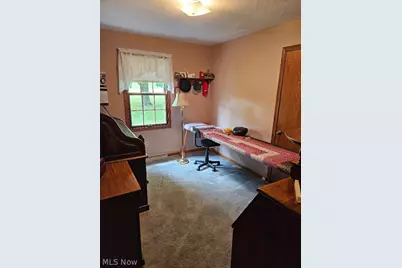 8672 Bayard Road, Minerva, OH 44657 - Photo 15