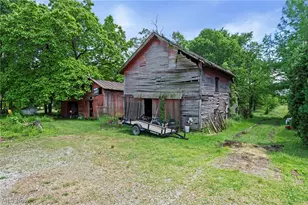 38599 Norwalk Rd, Litchfield, OH 44253 - Photo 19