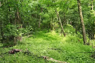 5906 Schilling Hill Rd NW, New Philadelphia, OH 44663 - Photo 23