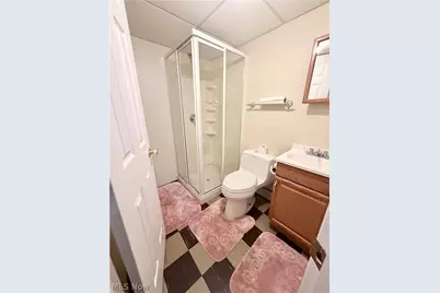 10121 Jasper Road, Loveland, OH 44111 - Photo 27
