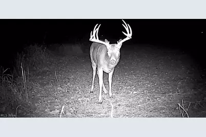 Cr 80, Frazeysburg, OH 43822 - Photo 33