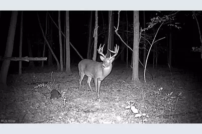 Cr 80, Frazeysburg, OH 43822 - Photo 35