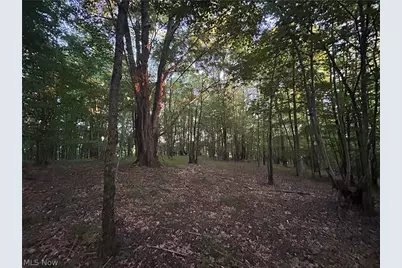 Cr 80, Frazeysburg, OH 43822 - Photo 23