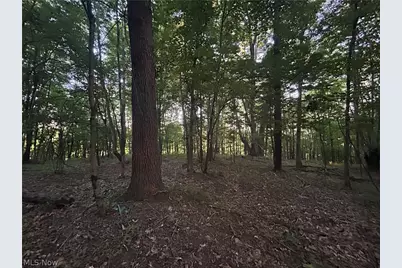 Cr 80, Frazeysburg, OH 43822 - Photo 13