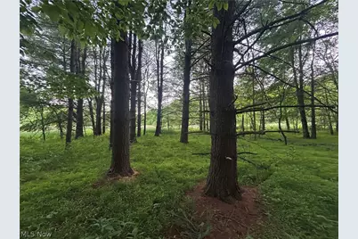 Cr 80, Frazeysburg, OH 43822 - Photo 9