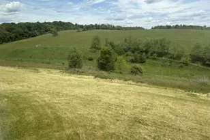 8943 County Road 39, Bloomingdale, OH 43910 - Photo 29