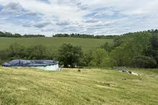 8943 County Road 39, Bloomingdale, OH 43910 - Photo 29