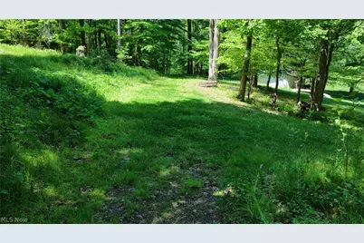 8690 US Route 62, Killbuck, OH 44637 - Photo 29