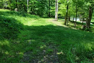 8690 US Route 62, Killbuck, OH 44637 - Photo 29