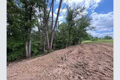 49628 Cain Ridge Road, Clarington, OH 43915 - Photo 41
