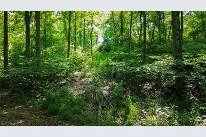 Cr 425, Fresno, OH 43824 - Photo 33