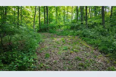 Cr 425, Fresno, OH 43824 - Photo 31