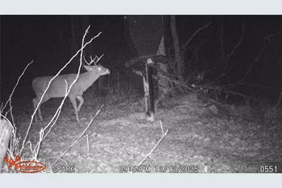 Cr 425, Fresno, OH 43824 - Photo 49